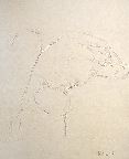 image/_0053.jpg, 2.8K