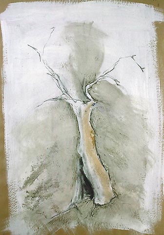 image/old_tree.jpg, 42.6K